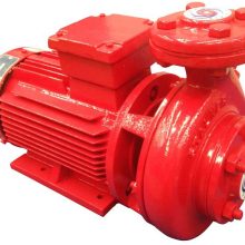 Stalker Pumps Compact Motor Pumps